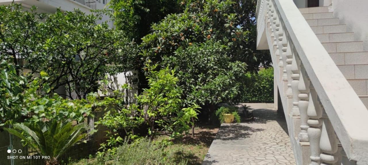 فندق House Irena بودفا المظهر الخارجي الصورة